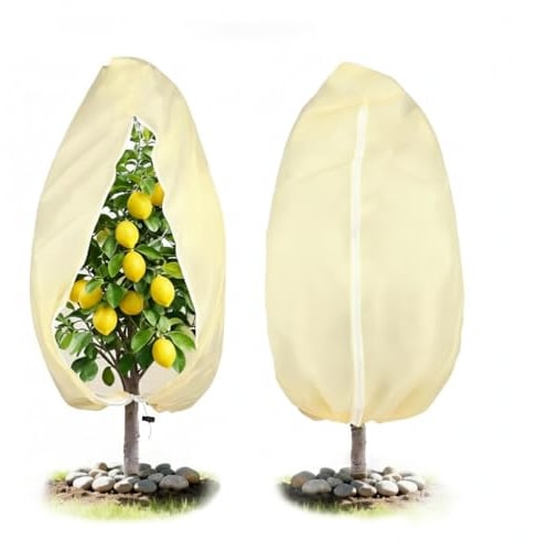 AQUPELW Pflanzenschutz Winter 180 x 120 cm, Winterschutz Pflanzen Außen | Frostschutz Pflanzen, Pflanzenschutzhaube für Kübelpflanzen, Palmen, Oleander, 80 g/m² Vliesstoff, Reißverschluss & Zugband