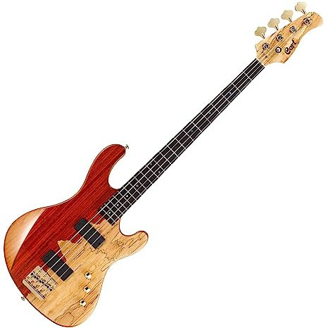 CORT Rithimic Jeff Berlin Sig E-Bass