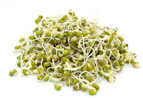 Italian Sprout - Semi per germogli - Fagiolo Mungo Isidoro - 500 gr.