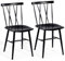 COSTWAY 2er Set Esszimmerstühle aus Metall, Küchenstühle mit Rückenlehne, für Esszimmer, Wohnzimmer, Küche, Schwarz