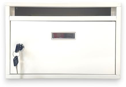 Cassetta Postale Per Esterno con Spioncino e Portanome Anta Apribile Con Serratura a Chiave Incassata a Muro Doppia Chiave e tasselli Inclusi 30x20x10 cm (Bianco)