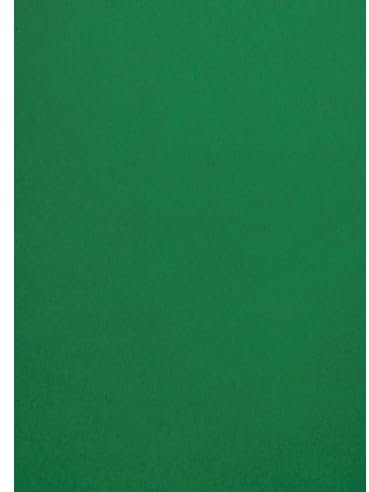Netuno 50x farbiges Tonpapier Dunkel-Grün DIN A4 21 x 29,7 cm 120g Malmero Amazone grünes Bastelpapier farbig bedruckbar Farbpapier Kartonpapier Grün-Töne hochwertig für Broschüren Einladungen Poster