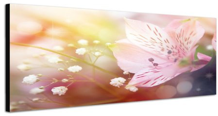 Augenblicke Wandbilder Keilrahmenbild Wandbild 150x50cm Blume Blüte Farbfilter abstrakt Frühling
