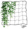 Ranknetz Für Pflanzen: Elastisches Spalier Netz 150x150cm, Robustes Gartennetz Für Gemüse, Obst Und Kletterpflanzen, Ideal Für Garten Und Gewächshaus (Schwarz)