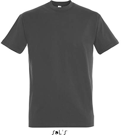 Sol’s Imperial T-Shirt - grey - Large