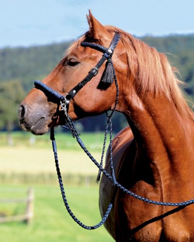 Barefoot Amber Western Zügel rundgeflochten – offene Reitzügel aus handgeflochtenem Bergseil – mit Lederklatsche & Snaphaken – 2,40 m Länge – für Freizeit- und Westernreiten - schwarz