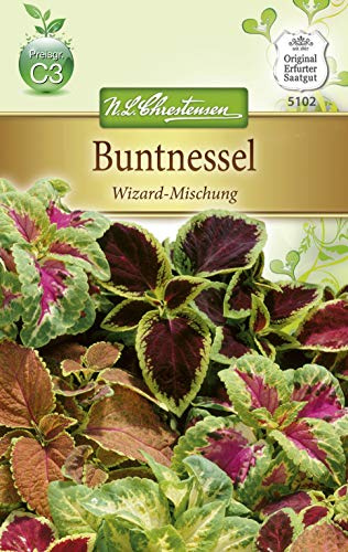 N.L. Chrestensen 5102 Buntnessel Wizard Mischung (Buntnesselsamen)