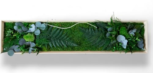 Générique tableau végétal stabilisé TULUM BOIS sans entretien - tableau de plantes et décoration murale d'intérieur, plantes et fleurs éternels made in France