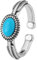 GWSGSFAS 925 Sterling Silber Ellipse Türkis verstellbare Ringe für Frauen Hochzeit Vintage Luxus Schmuck Argent Schmuck-Silber