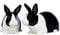 Quail Ceramics Salière & poivrière Noir et Blanc Lapin Néerlandais
