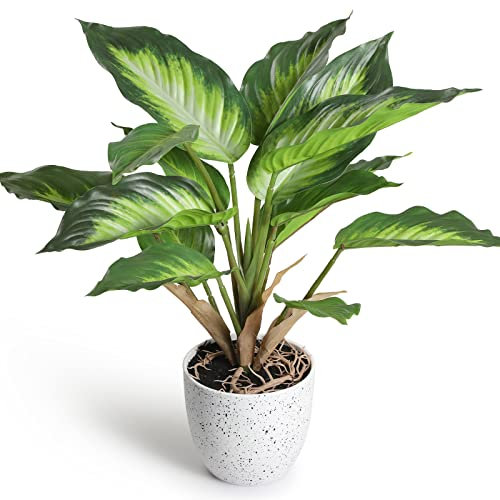 YunYite Plantes artificielles,36cm Dieffenbachia Picta Mini Plantes en Pot d'intérieur Lance Verte Artificielle, pour décoration Salon Appartement Balcon Bureau