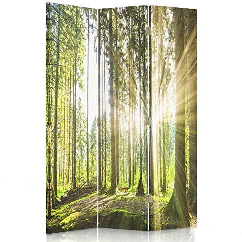 Feeby Paravent Wald Baum Sonne Natur 110x180 cm 3 Teilig Modern Design beidseitig Raumteiler Wandschirme Foto Trennwand Raumtrenner Sichtschutz Spanische Wand auf Leinwand Bedruckt Landschaft Grün