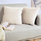 Blumtal 2er Set Kissenbezug 45x45 cm Creme - dekorativer Samt Kissenbezug mit verstecktem Reißverschluss, Kissenhülle für Zierkissen Deko-Kissen Polster Sofakissen & Couchkissen, waschbar