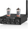 Douk Audio P6-Mini HiFi Bluetooth Röhrenvorverstärker Mini Stereo Valve Vorverstärker Tube Preamp mit Treble Bass Control für das Hauskinosystem