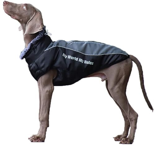 Hundemantel Winter - Hundemantel mit Geschirr Wasserdichter Hunderegenmantel, Warme Mäntel & Jacken für Grosse Hunde mit Reflektorstreifen (5XL)