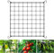JAMSSOW Scrog Netz 80x80 cm,mit 4 Haken,Pflanzenstütznetz für Gemüse,Obst & Blumen,Dehnbar auf 120x120 cm,Grow Netz für Pflanzenzelt,Zeltgitternetz,Pflanzennetz für Garten,Balkone,Hof,Gartenarbeit