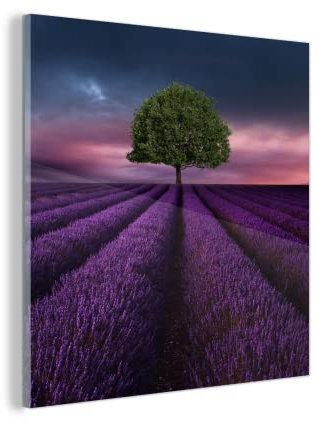MuchoWow Glasbild Glasfoto Wandbild Bilder Deko 50x50 cm Lavendel - Baum - Lila