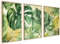 ag.art deco Moderne Poster Set Grüne Monstera | 3 Stück 60x80cm | Gemälde Bild Blätter Poster Watercolor Wanddekoration | ohne Rahmen