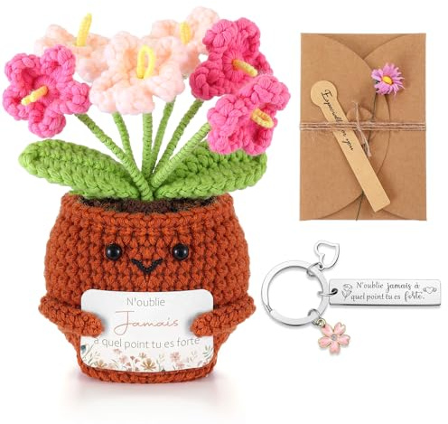 Otuuz Set de Regalo Inspirador Planta de Crochet en Maceta Llavero Positivo y Tarjeta de Felicitación con Flores Secas Familiares, Novias y Colegas