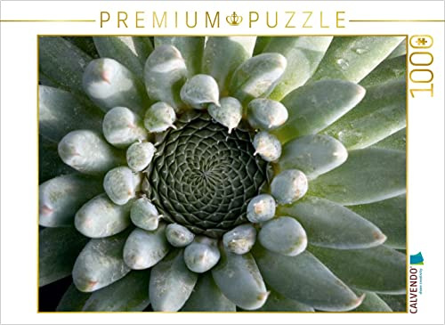 CALVENDO Puzzle Orostachys | 1000 Teile Lege-Größe 64 x 48 cm Foto-Puzzle für glückliche Stunden