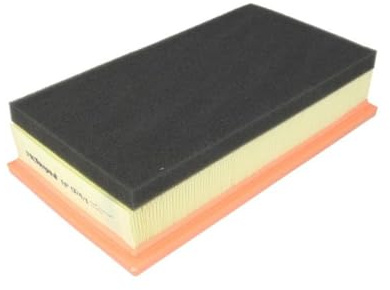 Luftfilter FILTRON AP024/1