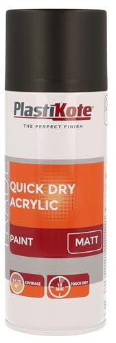 PlastiKote PKT71008 Acrylic Spray Paint