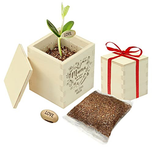 Casa Vivente Zauberbohne mit gravierter Holzbox für Mama, Personalisiert mit Namen, Pflanze mit Botschaft I Love You, Inklusive Anzuchtset