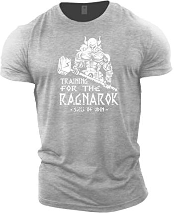 GYMTIER Sons of Odin - Training for Ragnarok Vikings - Men's Gym T-Shirt Bodybuilding Training Workout Lifting Top Clothing, Sport Grey, S