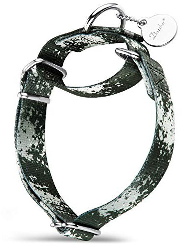 Dazzber Martingale Hundehalsbänder Bunte Ölgemälde Muster Serie - No Pull Haustierhalsband Seidig weich für mittlere und große Hunde (Groß, 2,5 cm breit, Dschungeltarnung)