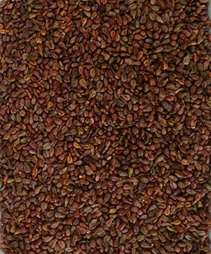 Semillas de uva, 2 kg, sueltas para cojín térmico, cojín de semilla de uva, cojín frío, relleno de núcleos, relleno de semillas de uva, masaje de pies, masaje de manos, terapia ocupacional,