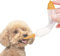 Qcwwy Biberon en Verre pour Animaux de Compagnie, Mini Tétines de Rechange avec Seringues pour Animaux Domestiques