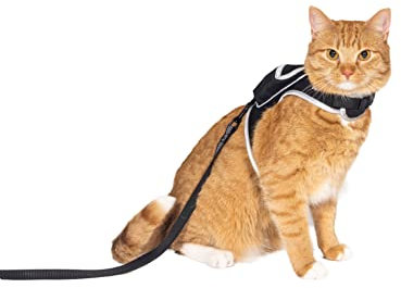 Travel Cat & Streunendes Katzengeschirr und Leine, verstellbares Katzengeschirr mit Klettverschluss und Starke Nylon-Leine, bequemes, ausbruchsicheres Geschirr für Katzen, Kätzchen, für Spaziergänge