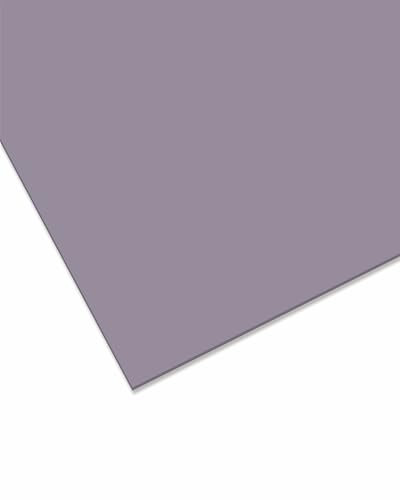 nattmann Plexiglas® GS 7C82 Plaque en verre acrylique incassable polyvalente et incassable pour objets lumineux et plus encore, 12 x 25 cm, gris moyen transparent