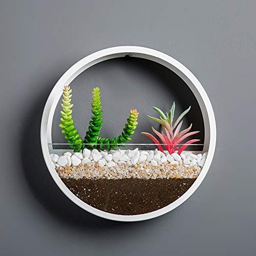 Murale Planteur,DéCoration Mur Pots à Suspendre MéTal Ronde Pots De Fleurs à Suspendu Verre Mural JardinièRe Clair Vase pour Artificielles Fleur,Cactus,Succulentes,DéCor pour Salon Salle à Manger