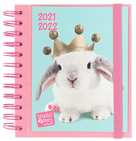 Grupo Erik Schulplaner 2021 2022 Studio Pets Hase - Ringbuch Kalender Terminkalender Tagesplaner Terminplaner ADPM2114 Türkis