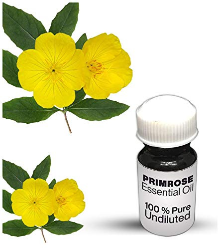 Olio essenziale di primula / olio essenziale puro al 100% di primula (250 ml)