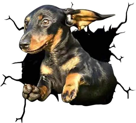4er Set 3D Hund Aufkleber Autoaufkleber, Lustiger Hund im Riss Vinyl Autoaufkleber Wandaufkleber Auto Dekoration Für Autofenster Stoßfänger Lustige Deko Styling süß Hund Decal Heckscheibendekor Dekor