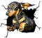 4er Set 3D Hund Aufkleber Autoaufkleber, Lustiger Hund im Riss Vinyl Autoaufkleber Wandaufkleber Auto Dekoration Für Autofenster Stoßfänger Lustige Deko Styling süß Hund Decal Heckscheibendekor Dekor