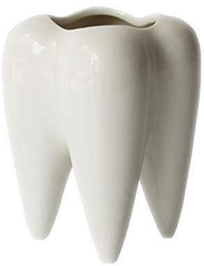 Vaguelly Schreibtisch-Container Lustige Zahn Blumentöpfe Zahn Geschenke Zahn Töpfe für Pflanzen Saftig Mini-Vase