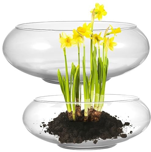 VANZACK 2 Pièces Vase en Verre Transparent Aquarium Nénuphar Bassin De Narcisse Vase Boule Bocal à Poisson en Verre Verres Bocal à Poisson Vase à Plantes Un Verre Bulle Wan Lian