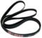 1860 9PHE CONTITECH 144001958 Tumble Dryer Drive Belt GENUINE