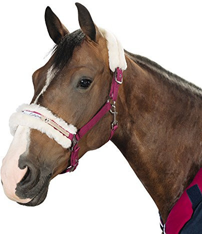 Eskadron - Halfter DOPPELDORNSCHNALLE Lammfell (CS ltd. HW16)-Dark-Red-Pony