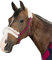 Eskadron - Halfter DOPPELDORNSCHNALLE Lammfell (CS ltd. HW16)-Dark-Red-Pony