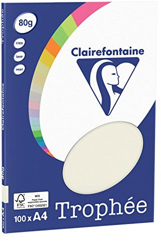 Clairefontaine 4118C - Ries Druckerpapier / Kopierpapier Clairalfa PPP, DIN A4, 80g, 100 Blatt, Grau, 1 Ries