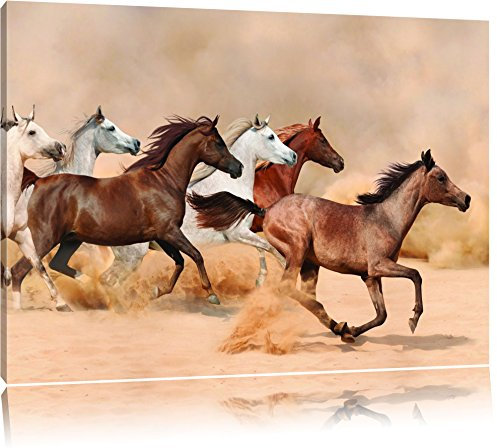 Pixxprint Western Pferde in Wüste, Größe: 60x40cm, Leinwandbild, fertig gespannt, Wandbild, Dekoration, Kunstdruck, kein Poster