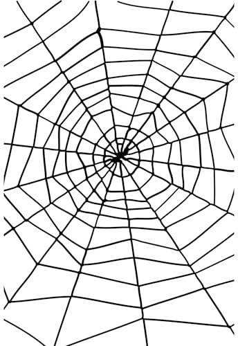 Halloween! Smiffys Spinne und Spinnennetz, Schwarz