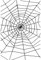 Halloween! Smiffys Spinne und Spinnennetz, Schwarz