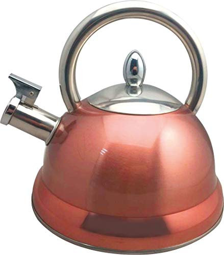 Baumalu, Bouilloire en Acier Inoxydable, Compatible Tous Feux et Induction, Ustensile de Cuisine de Qualité, Finition Brillante, Couleur Cuivré, 3 Litres