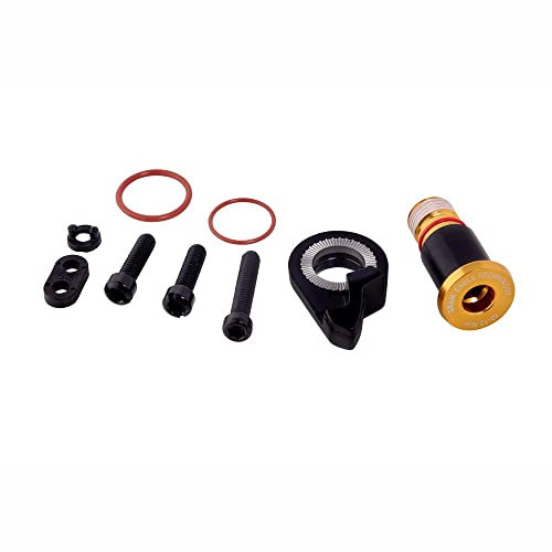 SRAM Spare Rear Derailleur B-Bolt and Limit Screw Kit Xx1 Eagle Gold Hex5 Service & Ersatzteil, Einheitsgröße