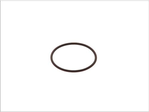 Bosch F00HN35933 O-Ring